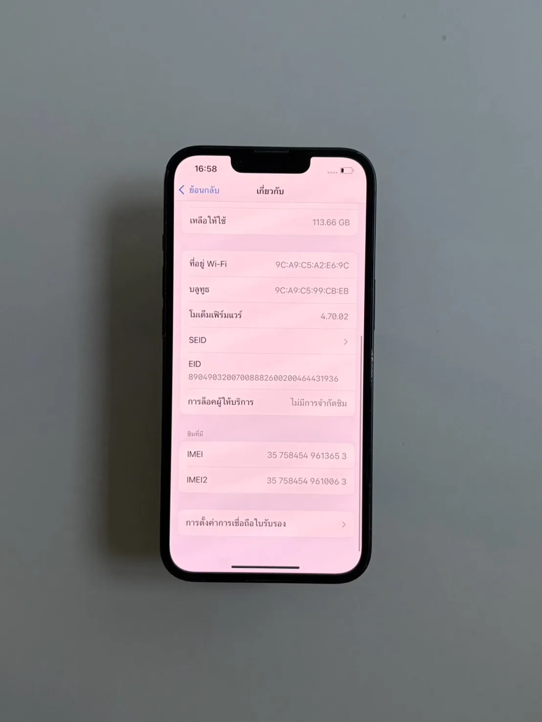 Apple iPhone 13