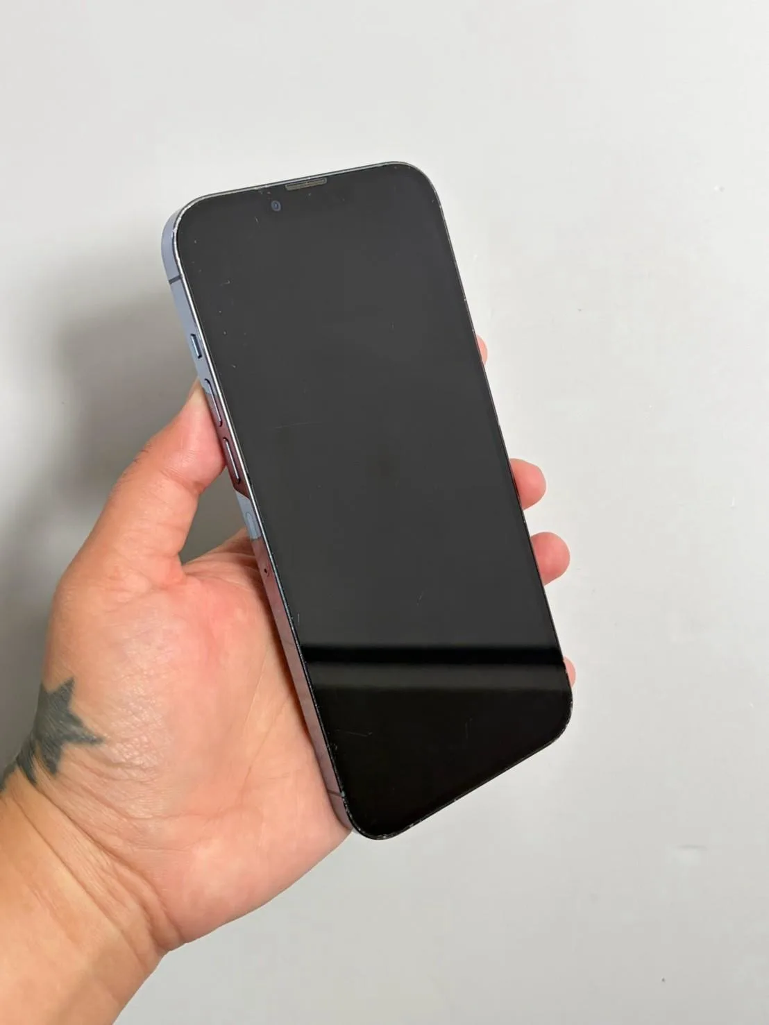 Apple iPhone 13 Pro Max